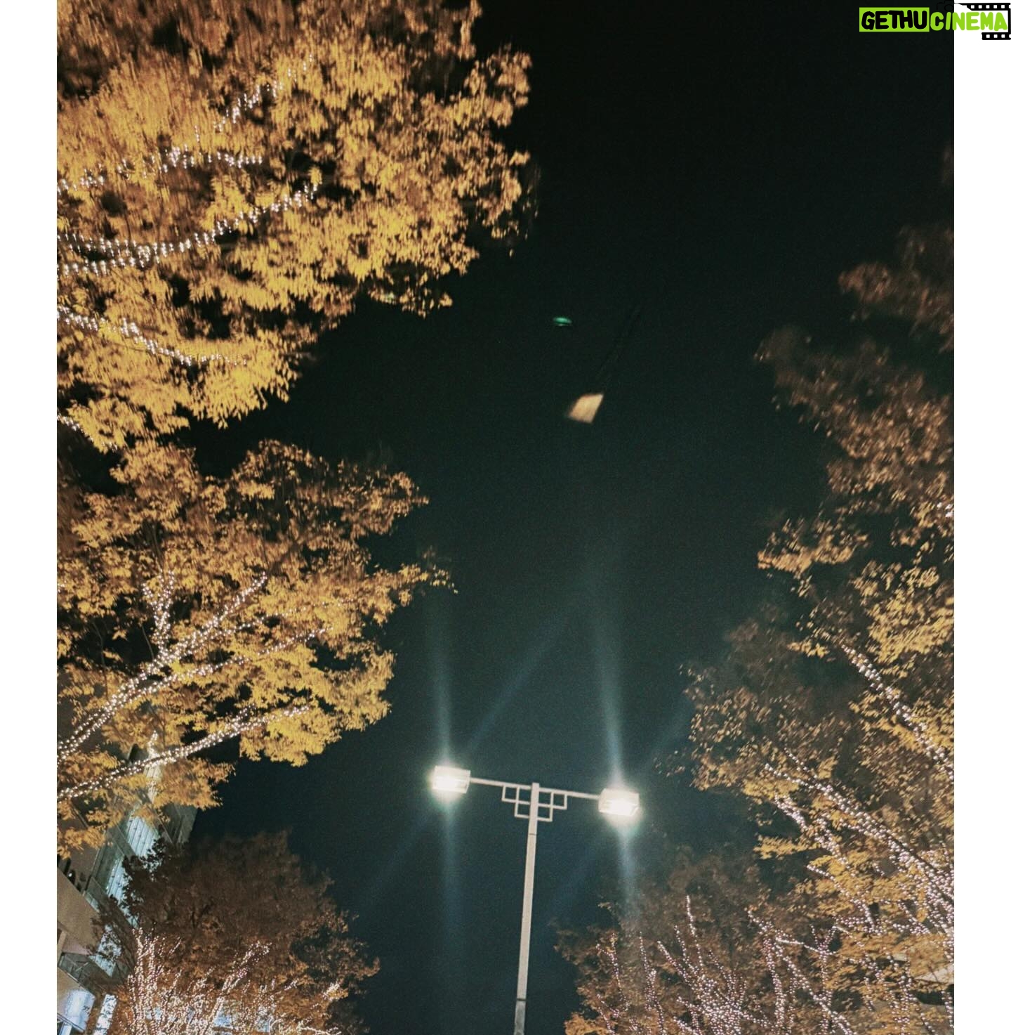 Yuki Sakurai - 15.3K Likes - 皆様、こんばんは。
もうすぐ2024年の終わりが見えてきましたね。
本年もたくさん応援していただき、応援のお言葉を、この場や、お手紙等で届けて下さり
心からの感謝の気持ちでいっぱいです。いつも、大変嬉しくニッコニコしながら拝見させていただいております。
そういったお言葉一つ一つに、向けてくださるエネルギーに我々の仕事は支えられているのだと心の底から思います。
まだまだ忙しくされている方もいらっしゃるとは思いますが、ご自身を大切に、ホッと休める時間を是非少しでも作ってあげてください。
本当に、いつも支えてくださりありがとうございます。
Instagram辞めるんかくらい長い文章になりました、すみません、やめません
来年も、よろしくお願い致します。
そして、今日の紅白歌合戦。
大好きな我らが虎ちゃんこと伊藤沙莉ちゃん。
テレビの前にかじりついて応援したいと思います。
皆様も、良いお年をお過ごしください。
本年もありがとうございました。
桜井ユキ