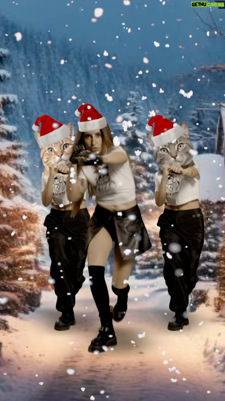 Zahara - 7.3K Likes - 🎄Feliz MICHIDAD y
próspero Lento TERNURA🎄