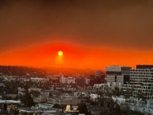 Zar Amir Ebrahimi Instagram - Leaving the city of Angels with a broken heart, feeling aches on my skin, frustrated and hopeless, praying for the wind to stop blowing and wishing all those who lost a lot, patient and strength enough to rebuild again. Wishing you my beloved friends, family and colleagues stay safe. Wish I could do more…💔💔💔