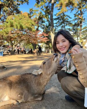 Zoe Tay Instagram - 🦌🦌🦌🩷🤎🩷🦌🦌🦌
奈良的鹿太可爱了🥰🤎
会点头敬礼，讨要鹿仙贝🍥

Nara’s Sacred Deer
One of the most memorable experiences when  visit there is a legend that in AD768, the first of the four gods. 

Nara Park covers a broad area, and in fact a portion of it is made of by the grounds of Kasuga Taisha Shrine. The deity enshrined therein is Takemi Kajichi no Mikoto, said to have ridden to Nara upon a sacred deer from Kashima Shrine (also written with a character for “deer”) in Ibaraki Prefecture. Because of this legend, deer were thought of as sacred animals—the helpers of gods—and have been carefully protected for many years. Even today, Nara’s deer are carefully protected as “natural monuments.

#narasacred🦌
#narajapan 
#narakōen 
#奈良公園バスターミナル🦌
#奈良的鹿不怕人還會點頭要仙貝吃 
#奈良鹿ベア 
#神的使者🦌 
#mydeers
#超级可愛的鹿儿
#friendlyandlovely 
#蒋爷视角📸 

#ZöeTay #鄭惠玉 #惠声玉影  #佐伊の語