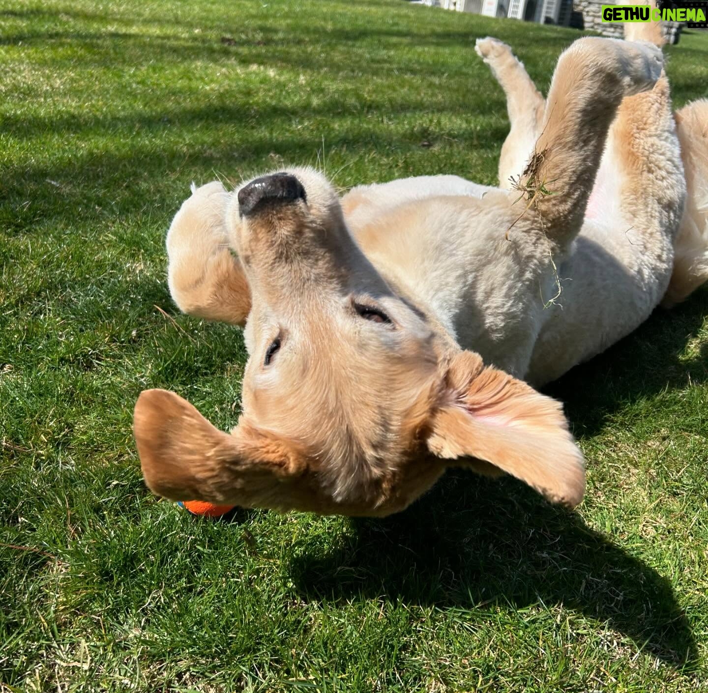 Abby Huntsman - 2.3K Likes - One day soon we won’t be able to get away with oversized bows and cheesy photos but for now I’ll hold on hard to it. Hopping into Easter Weekend with our favs 🐕 🥕 🐰
