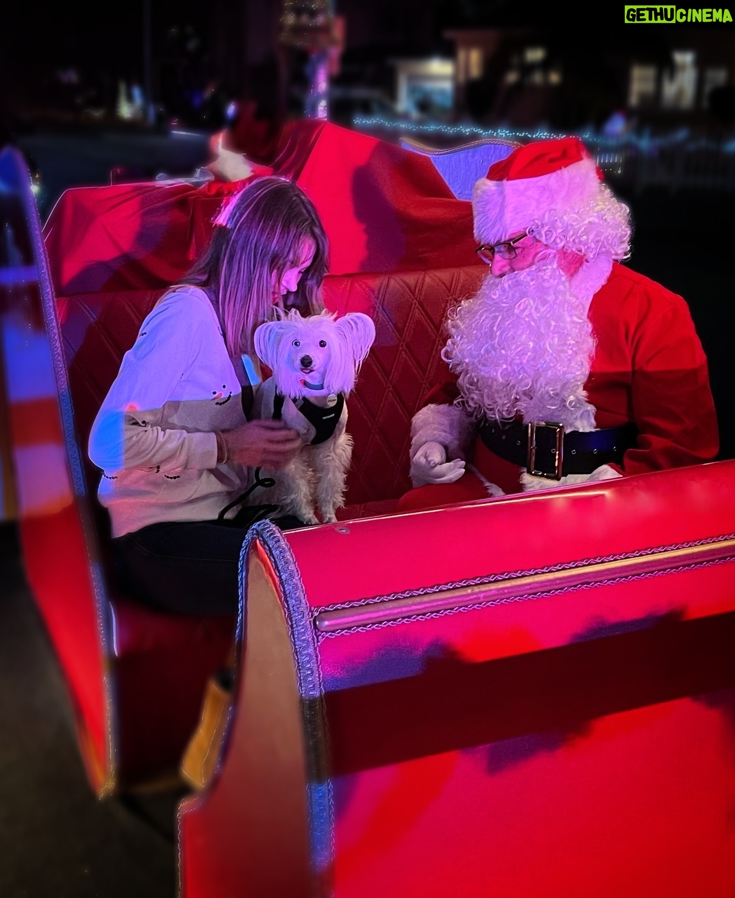Aimee Teegarden - 4.2K Likes - December Looking Likeā¦šāļøš¦š¢š
š½