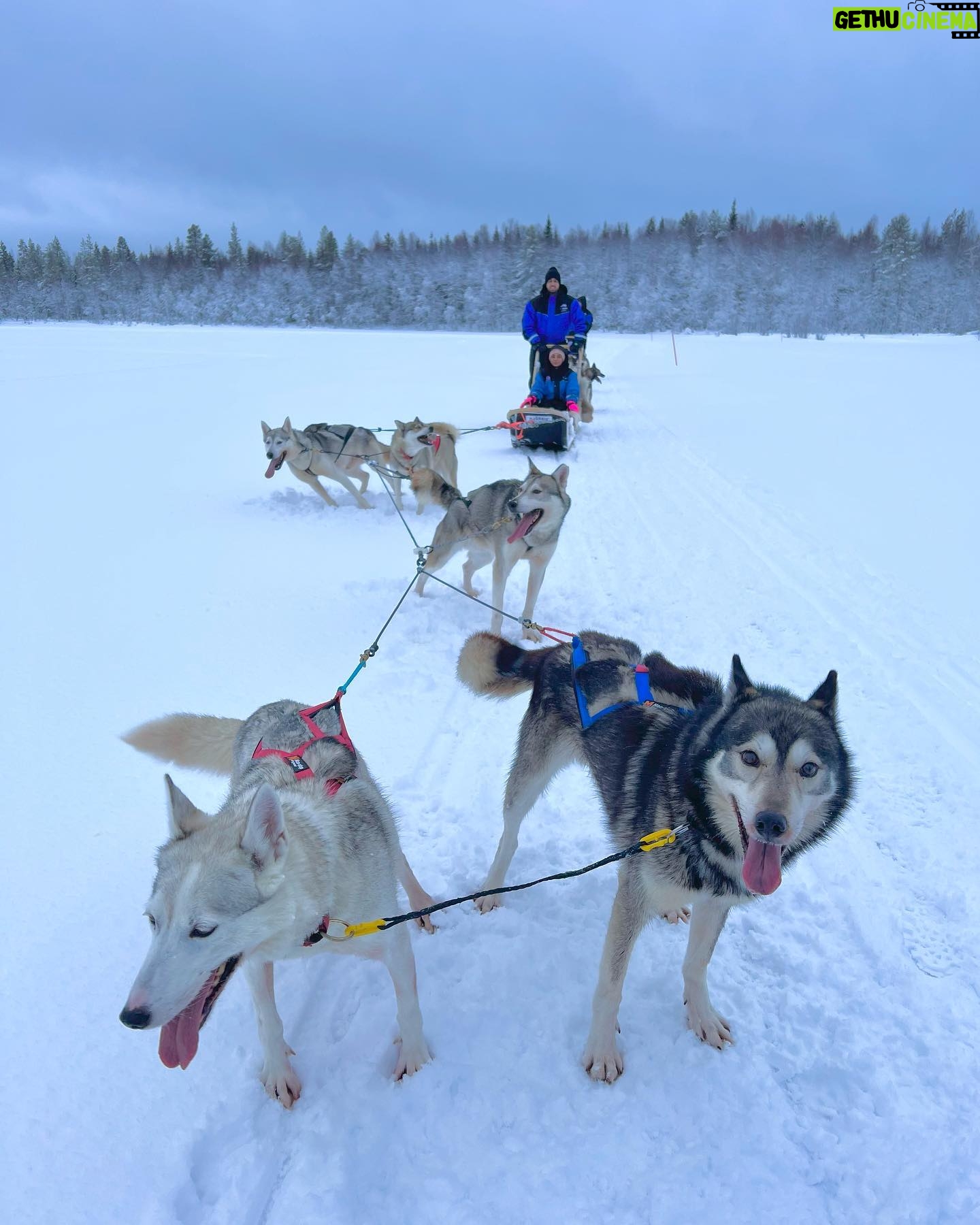 Aisha Zafar Khan - 8.6K Likes - Husky safari ❄️🐕🦺🛷
