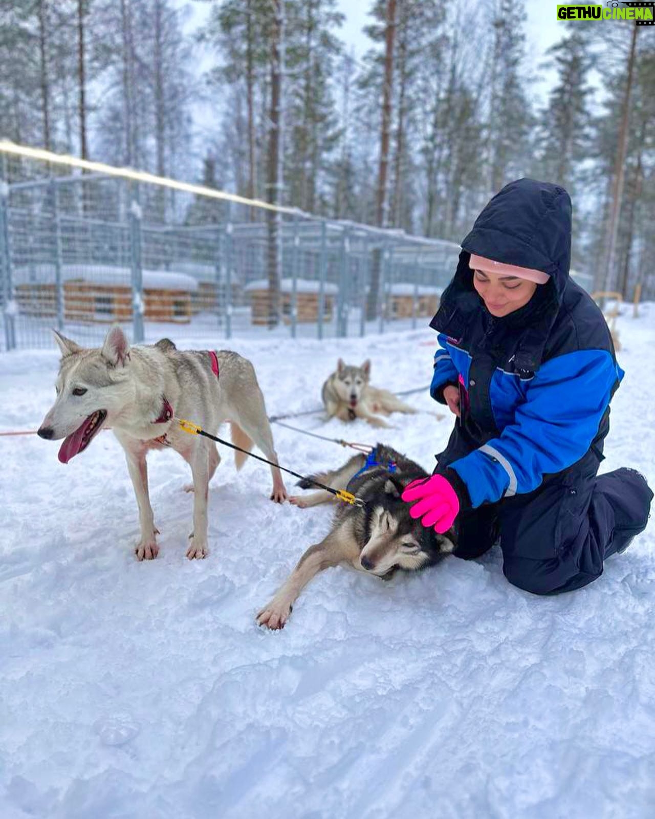 Aisha Zafar Khan - 8.6K Likes - Husky safari ❄️🐕🦺🛷