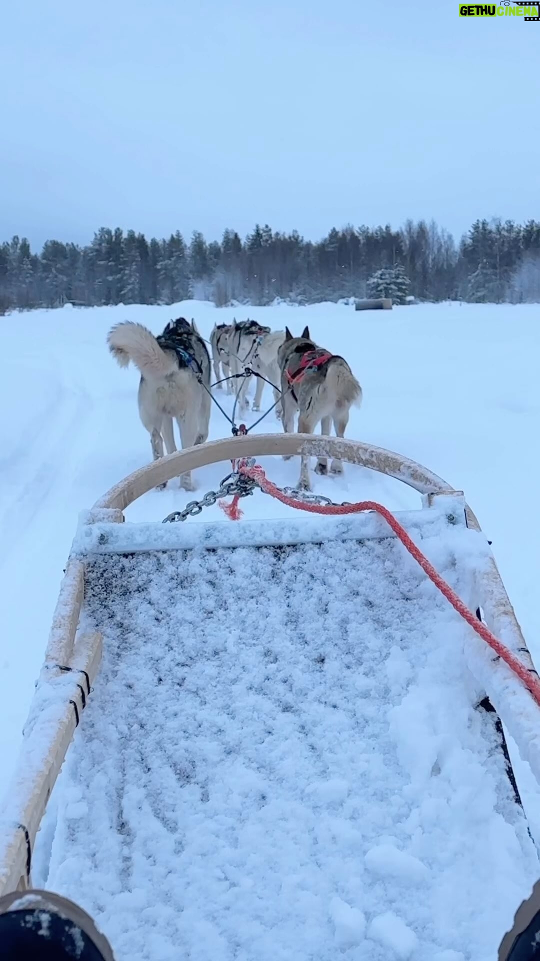 Aisha Zafar Khan - 8.9K Likes - Riding on husky sled through a frozen lake ❄️🥹
