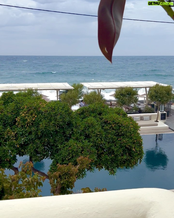 Aisha Zafar Khan - 10K Likes - “Amidst the chaos, a gentle bloom”
Swipe left to see my view →
.
.
.
.
#greece #instagood #nature @belloniasvillas #beach