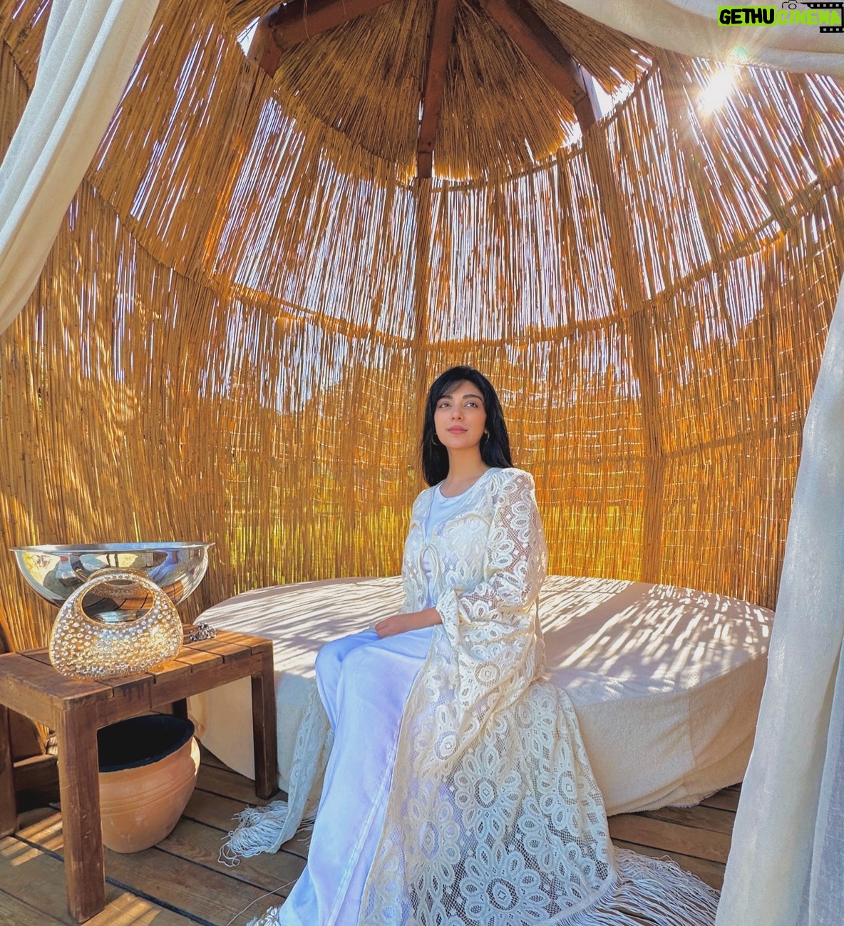 Aisha Zafar Khan - 8.2K Likes - cabana vibes ☀️🌴🍹