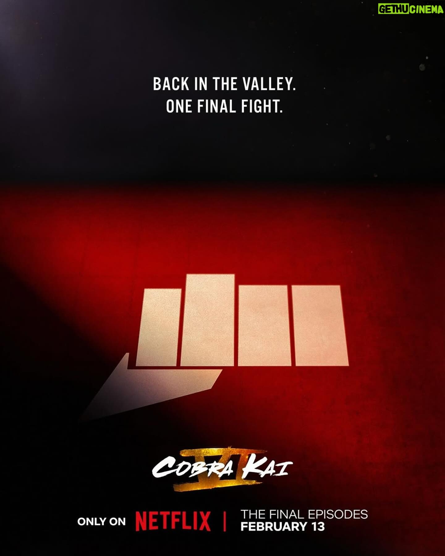 Alicia Hannah - 16.3K Likes - This is it. No holding back. The final chapter is among us, Cobra Kai’s Season 6 Part 3 on @netflix February 13. 🥋
🐍🐍🐍🐍
Are you ready??