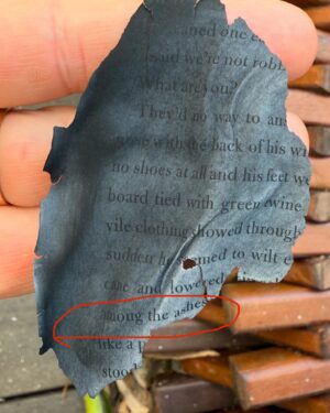 Alie Ward Instagram - Charred pages are falling from the sky, and @jarrett_sleeper found this in our yard. It must have floated from miles away, and it’s about ashes. From Cormac McCarthy’s “The Road.” The simulation is just getting embarrassing