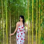 Ann Sheetal