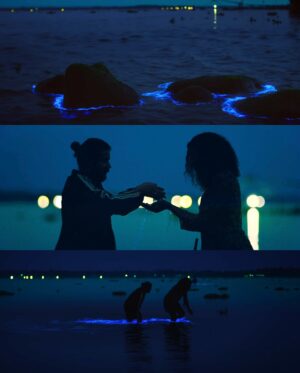 Anna Ben Instagram - Kumbalangi calling ✨ 6 years to the tale of love, grief & healing that warms our heart like a cherathukal lamp 🪔

#6YearsOfKumbalangiNights