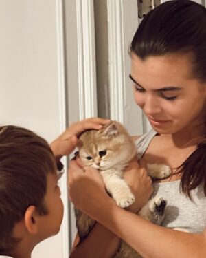 Anna Sedokova Instagram - Можете меня поздравить я официально стала бабушкой. Теперь у моей дочки @alinabelkevia есть дочка и это первый кот в нашей семье. Добро пожаловать Bean (все еще никак не смирюсь с этим именем , но я демократичная Ма и принимаю решения своих детей ) Diva (да это второе имя которое я ей все же дала ) в семью. Я всегда мечтала о коте , но иногда мечты суждено осуществить нашим детям 🤍
