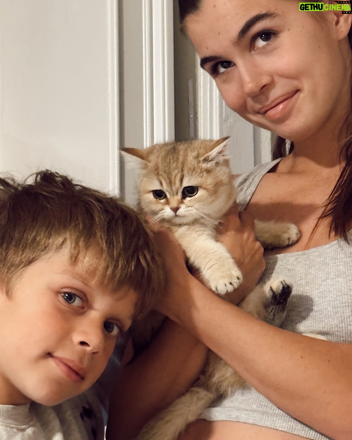Anna Sedokova - 35.7K Likes - Можете меня поздравить я официально стала бабушкой. Теперь у моей дочки @alinabelkevia есть дочка и это первый кот в нашей семье. Добро пожаловать Bean (все еще никак не смирюсь с этим именем , но я демократичная Ма и принимаю решения своих детей ) Diva (да это второе имя которое я ей все же дала ) в семью. Я всегда мечтала о коте , но иногда мечты суждено осуществить нашим детям 🤍