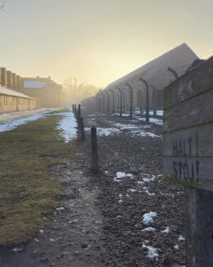 Anne Hidalgo Instagram - Il y a 80 ans, le camp de concentration et centre de mise à mort nazi d’Auschwitz-Birkenau était libéré.

Comme chaque année, j’y suis aux côtés d’une délégation d’élus parisiens pour honorer la mémoire et le souvenir des victimes de la barbarie nazie. Près de 1,1 million de personnes innocentes y ont été tué parce que juives, tziganes, homosexuelles, prisonniers de guerre ou opposants politiques.

N’oublions jamais et continuons inlassablement à transmettre la mémoire de la Shoah et le souvenir des victimes.

- @memorialshoahofficiel