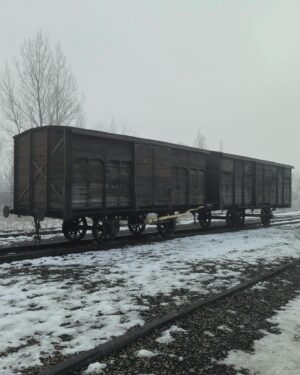 Anne Hidalgo Instagram - Il y a 80 ans, le camp de concentration et centre de mise à mort nazi d’Auschwitz-Birkenau était libéré.

Comme chaque année, j’y suis aux côtés d’une délégation d’élus parisiens pour honorer la mémoire et le souvenir des victimes de la barbarie nazie. Près de 1,1 million de personnes innocentes y ont été tué parce que juives, tziganes, homosexuelles, prisonniers de guerre ou opposants politiques.

N’oublions jamais et continuons inlassablement à transmettre la mémoire de la Shoah et le souvenir des victimes.

- @memorialshoahofficiel