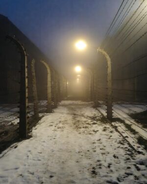 Anne Hidalgo Instagram - Il y a 80 ans, le camp de concentration et centre de mise à mort nazi d’Auschwitz-Birkenau était libéré.

Comme chaque année, j’y suis aux côtés d’une délégation d’élus parisiens pour honorer la mémoire et le souvenir des victimes de la barbarie nazie. Près de 1,1 million de personnes innocentes y ont été tué parce que juives, tziganes, homosexuelles, prisonniers de guerre ou opposants politiques.

N’oublions jamais et continuons inlassablement à transmettre la mémoire de la Shoah et le souvenir des victimes.

- @memorialshoahofficiel