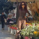 Anoushay Abbasi