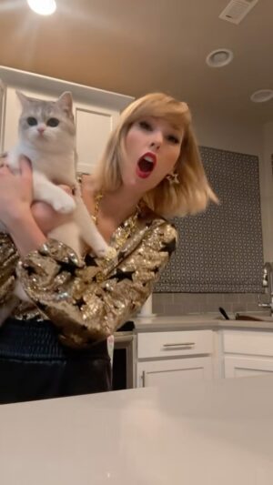 Ashley Leechin Instagram - The laughed. We cried. We sang. We danced. WE SURVIVED through it all! 🫶

I am so happy you stayed. Your story is not over 🖤 ;

I hope this is not the end but I am incredibly grateful for this community I have built from some ‘silly app’ that I downloaded in quarantine. Hopeful that the app will return but we are just going to keep dancing it out in the mean time. 

#tiktok #contentcreators #danceitout #forevergrateful