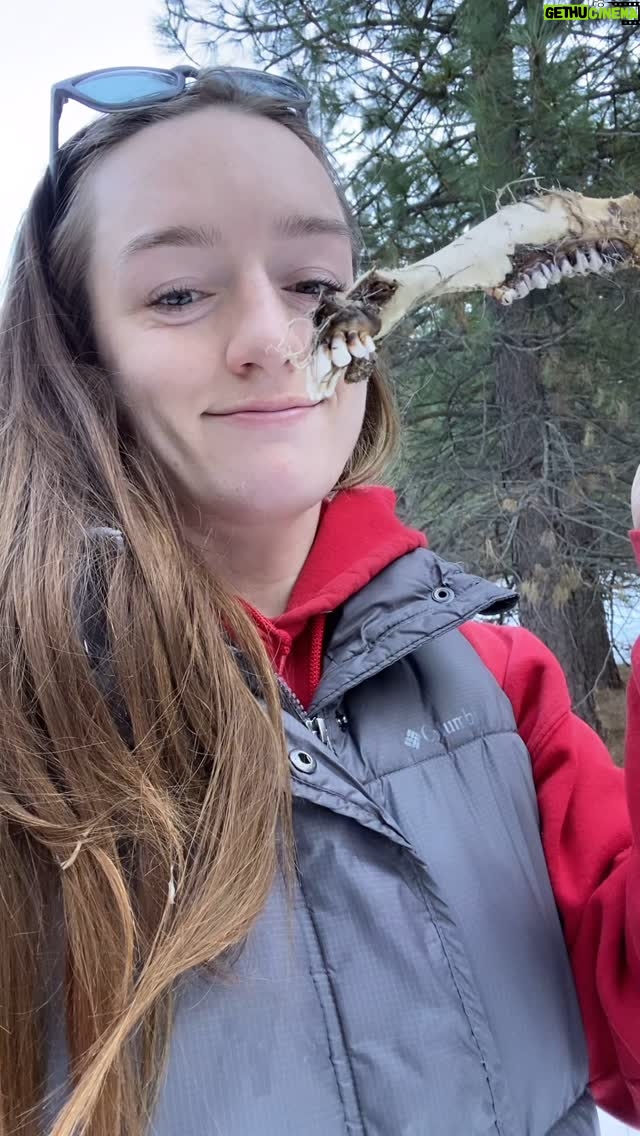 Aspen Ladd - 681 Likes - Yes, I KNOW that I currently sound like a 12 year old boy, but as previously mentioned Iβve been sick and canβt help it π Starting to feel better today, but not good enough yet to safely go back to the gym without polluting my teammates. Therefore, it was just cardio and finding bones 𦴠with my 3 favorite cardio buddies πππ