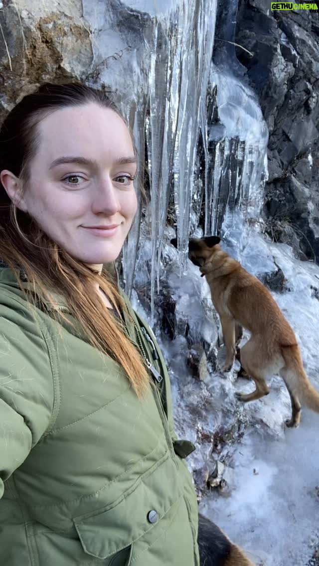 Aspen Ladd - 779 Likes - I have been sick ALL WEEKEND π© still been hobbling around getting the pups out each day though β¦just at a grannies pace. Check out these icicles from today, itβs been pretty cold here at home recently