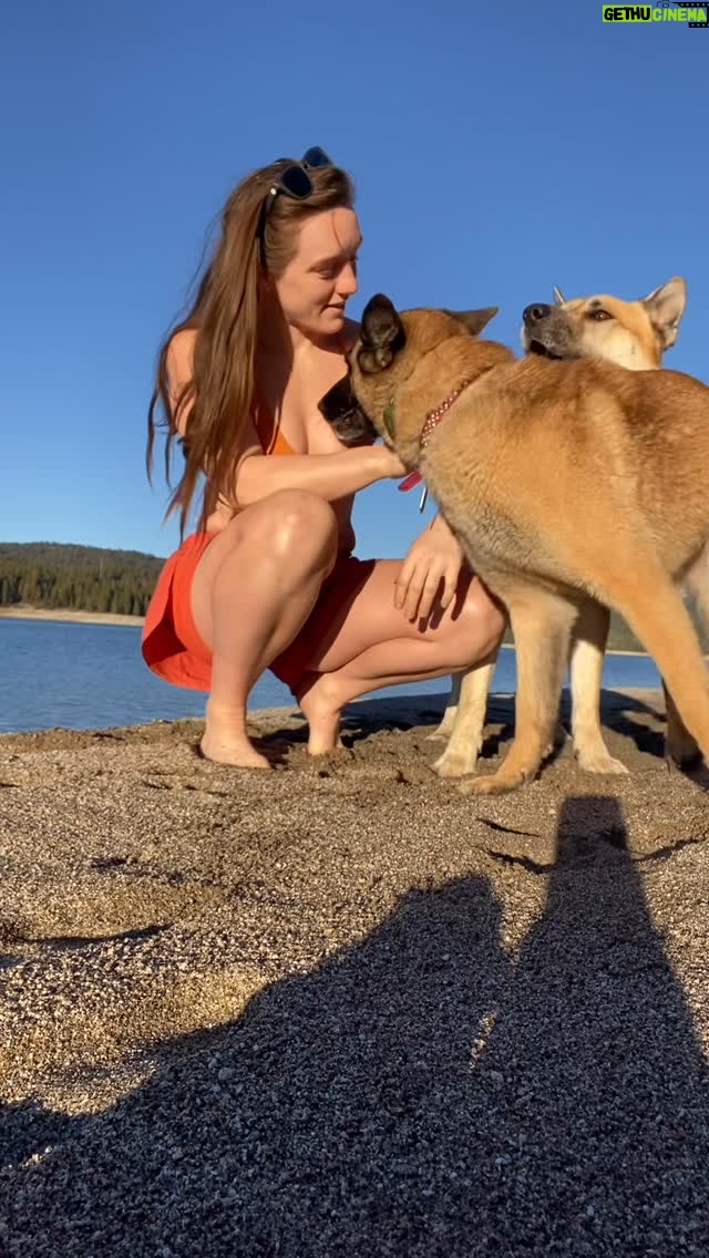 Aspen Ladd - 2.1K Likes - Every dog is a therapy dog π they keep me smiling and too occupied to be self destructive.
I needed that smile because @pflmma has decided to stress me out of my mind this week . I am so done with it. Being decent is not a hard thing to do π€·ββοΈ