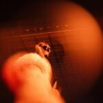 CL