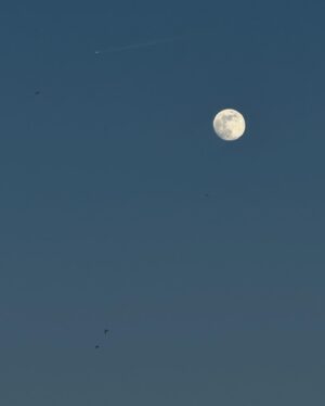 Carolina Yuste Instagram - Lo que me gusta.
La curvatura de la luz 
La consciencia como condición del tiempo y el espacio La Luna
Los domingos