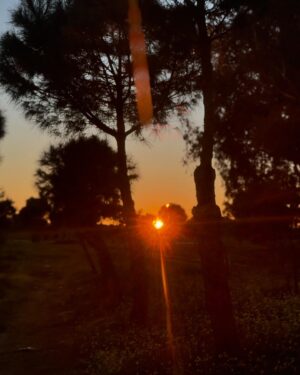 Carolina Yuste Instagram - Lo que me gusta.
La curvatura de la luz 
La consciencia como condición del tiempo y el espacio La Luna
Los domingos