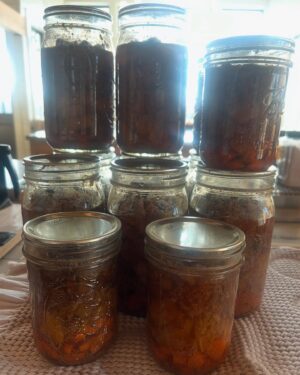 Carrie Underwood Instagram - Spent the snow days preserving…made some VeniMoose stew from some odds and ends meat we had in the freezer…also freeze dried grapes, strawberries, bananas as well as orange segments and orange zest. Now I won’t have to go buy oranges when some recipe calls for orange zest! The freeze dried fruit makes for great school snacks! #PressureCanning #FreezeDrying #Preserving #HarvestRight