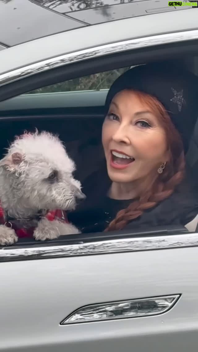Cassandra Peterson - 71.8K Likes - “What did you do last week?”
1: Woke up
2: Brushed my teeth
3; Signed autographs
4: Your mom
5: Got a new paint job on my Tesla!