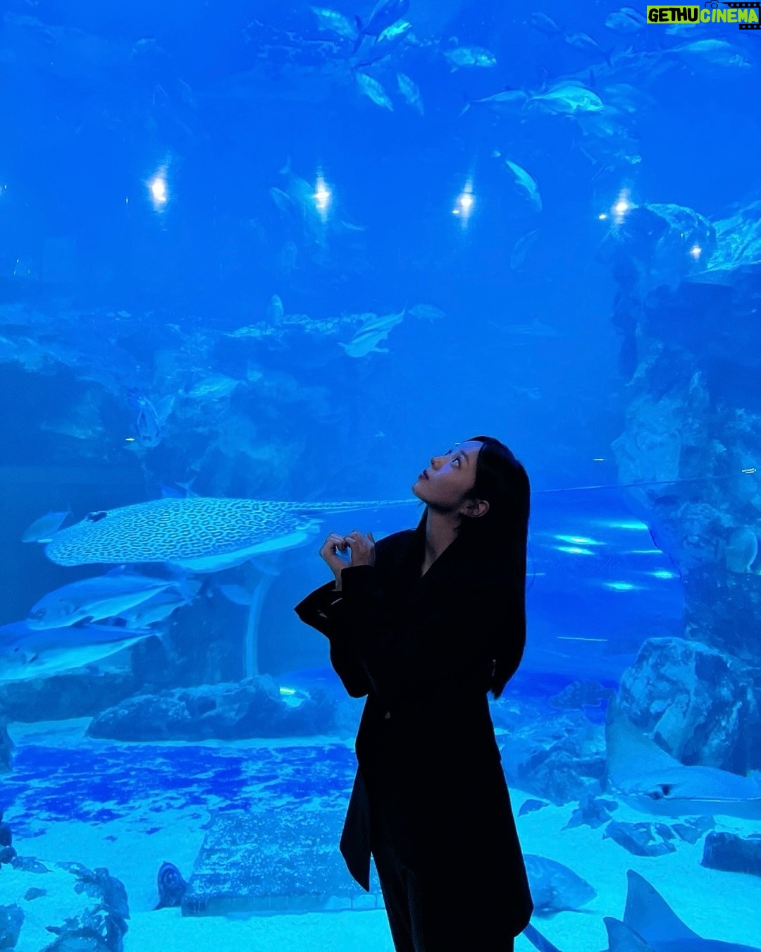 Chae Soo-bin - 1.3 Million Likes - 이따 만나요오:)