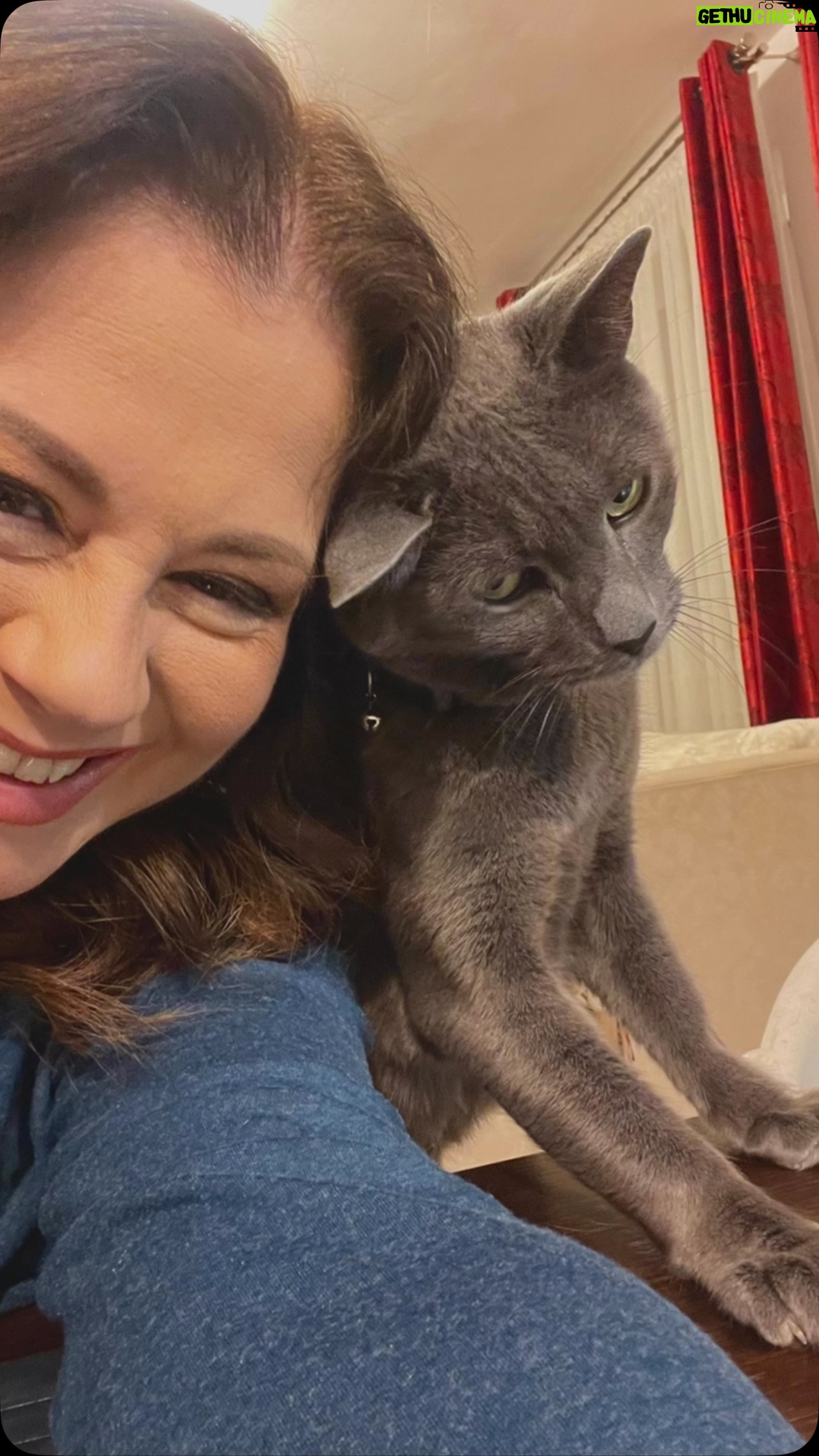 Corina Dănilă - 341 Likes - Când avem un moment de alint.. 😍 @iambrucethegray
#happycat #instacat #cat #catsofinstagram #fyp #foryou #foryoupage