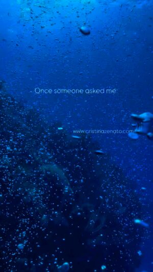 Cristina Zenato Instagram - Do ever get bored opening the door and seeing our family members greet us? 
When we love someone we can never get bored with them.
I am a big believer and practitioner of the “dive site fidelity”, visiting the same place over and over, building a presence and observation skills. Being in the same area teaches us that it’s never the same, shows us the changes, the ebbing and shifting of the seasons, of the animals, of the consequences of the human presence. Ultimately I love sharks, always have and seeing them every dive, every day, in the same place is a moment of happiness, and a reassurance for my heart.