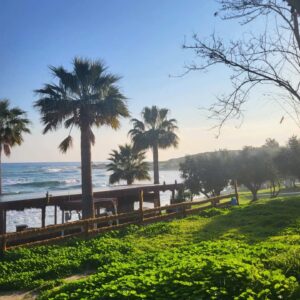 Danica Maksimović Instagram - Malo uživanja... uz zadovoljstvo igranja i druženja...

#sea #sealovers #stone #beautiful #beautifullife #nature #travel #limassol #january2025