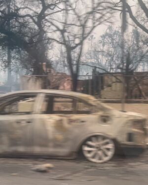 Daniella Pineda Instagram - This was the first house that I ever bought. My very first. The fire broke out so fast all I could grab was my dog and my laptop and that was it. I lost everything else. I have 1 pair of shoes to my name. I’m happy to be alive. Grateful to be alive. People really show up for one another when disaster hits. Thank you to everyone who offered to help me. 

This may seem silly to some, but I had two Beta fish that I absolutely loved. Always made sure their temp was just right, spoiled them, played with them. Loved them. They were precious and brought me joy everyday. Things are things, they are meaningless. Living creatures, humans, our environment, this is what matters. 

💔