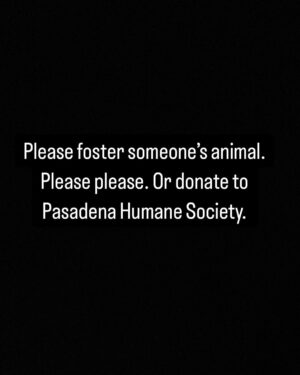 Daniella Pineda Instagram - 
