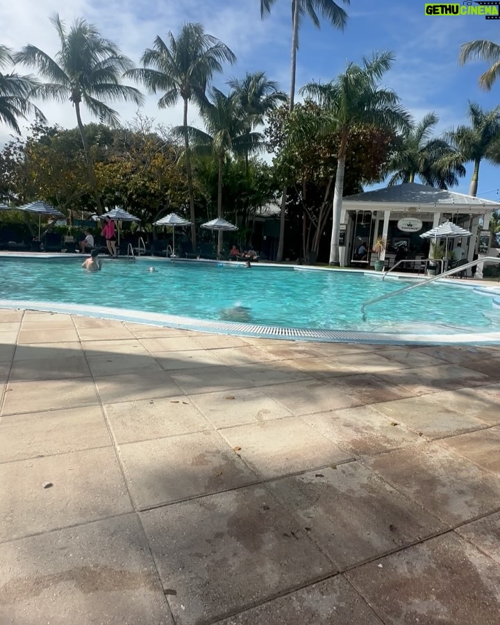 Debbie Gibson - 12.3K Likes - KEY WEST 🏝️
Scenes from 36 hours in paradise !!! 💋
See you tonite @keywesttheater ! 🎹 🎙️
And yes … I may have mad scientist colored my hair this morning 😉
#fun #sun #roosters #friends #coffee #rest #reset