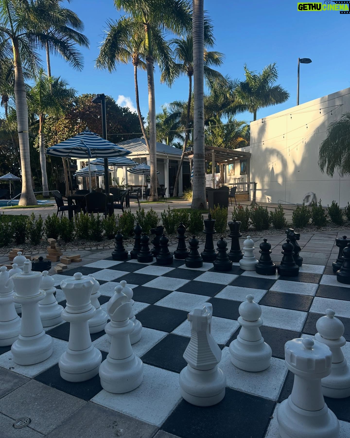 Debbie Gibson - 12.3K Likes - KEY WEST 🏝️
Scenes from 36 hours in paradise !!! 💋
See you tonite @keywesttheater ! 🎹 🎙️
And yes … I may have mad scientist colored my hair this morning 😉
#fun #sun #roosters #friends #coffee #rest #reset