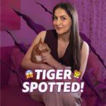 Elli AvrRam