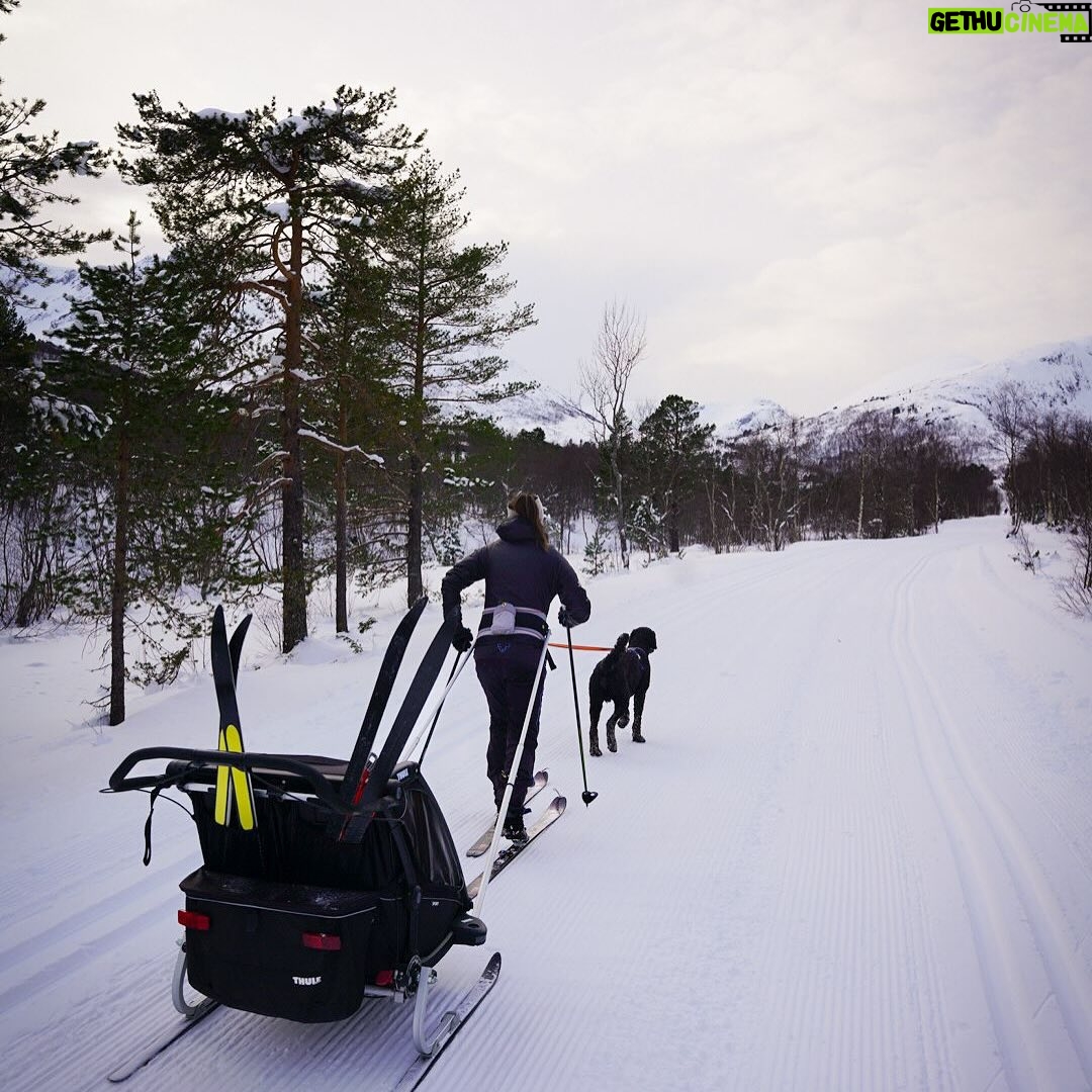 Emelie Forsberg - 14K Likes - Some of the finest memories we have collected is bringing our little ones out in the nature. Hiking, skiing, biking, running. It´s about every step, not the destination.
It´s about stopping to look at the woodpecker, listen to the birds song, being amazed by squirrels running and jumping in the crowns of the trees, the wildflowers, how cold the stream is and thousands of more small but incredible events the outdoor can offer.
Here are some tips and tricks I collected over the years:
A mutli purposal stroller is golden. We got the @thule Thule Chariot where you easily change from bike, jogging and skiing mood.
A comfortable baby backpack.
Bring warm clothes and changes.
Bring snack. Snack often! And eating meals outside is a hit for us!
After a break the energy levels and stoke are often high again. No need to give up!
Be prepared to change the plan. All is fine anyway.
Talk about the trips you´ve done together so far, and how nice it has been. We also talk about how strong we become when we move our bodies!
Always always say yes when they want to go out! ( Even though sometimes I just want to walk our dog Maui efficient 😆)
Do you have any go to´s ?
A great source of inspiration; @familylifebythule
❤️