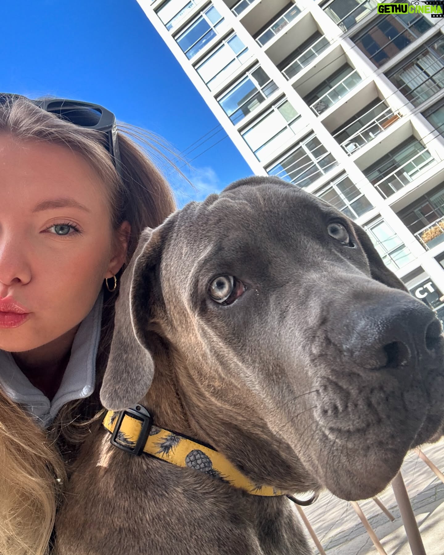 Emilia McCarthy - 2.6K Likes - ❤️🇨🇦