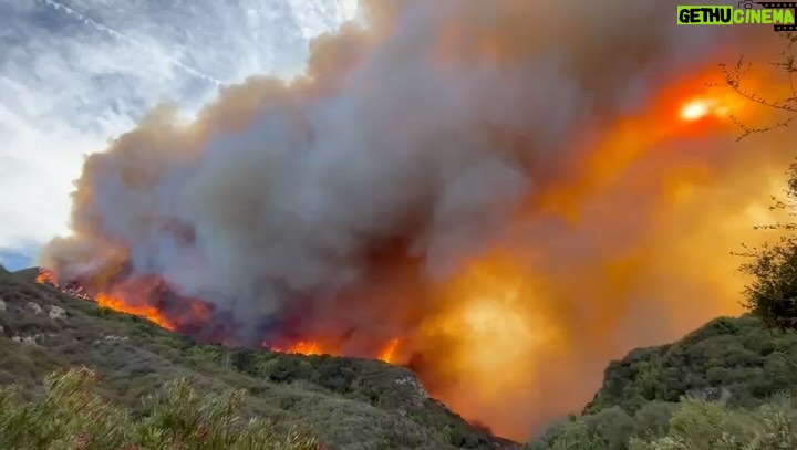 Emily Swallow - 4.7K Likes - Along with many of you, I have been watching in shock as LA seems to be surrounded by flames that wonβt back down. I am in Florida helping my mom move out of our family home and feeling helpless to save our Topanga home but I know Iβm not the only one fighting for it thanks to all the efforts by firefighters, volunteers and friends. @chadkimball76 and @normajeanandarthurmiller have evacuated and are safe, and thatβs the important thing. Iβve stayed glued to the news and various WhatsApp groups to know whatβs happening, and hereβs what has etched itself in my heart:
We are deeply indebted to firefighters, law enforcement, and everyone on the frontlines. They are putting their lives on the line to save ours.
We are a community that shows up for one another. I canβt tell you how many frightened posts Iβve seen about animals and people trapped, followed by a string of messages offering to go in and rescue and house them. #bootsontheground
Times like these are terrifying, and so many people are losing everything right now. But I am so encouraged by the clarity coming forward about what is really important and the unquestionable generosity and goodwill being shown to neighbors near and far. Thank you to everyone who wonβt back down.
#thisistheway #thisisthewaywednesday #palisadesfire #eatonfire #topangastrong #sunsetfire #sylmarfire #lafd #californiafires #prayforcalifornia