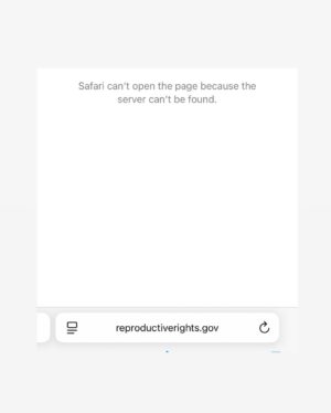 Erica Chidi Cohen Instagram - if you go to reproductiverights.gov tonight, you’ll find nothing there. swipe through to see what was there just last week. 

only a few hours after taking office, this administration removed reproductiverights.gov—a critical resource that helped women access health care and understand their rights, especially abortion.

sure, there are other places online where you can find this information. but the fact that, removing this site was high priority says a lot about where we are going. honestly, i wish i had something more supportive to offer. i know there are so many other frightening, seismic changes that happened just a few hours ago. 

but tonight, this is all i have. the only thing i can do is shine a light on this, in hopes that we can all hold space and bear witness to what is happening. this isn't a moment to look away. 

fund your local planned parenthood. fund community led abortion funds. and lastly, donate to @internetarchive because they make sure that the internet lives on, no matter who tries to erase it. 🫂