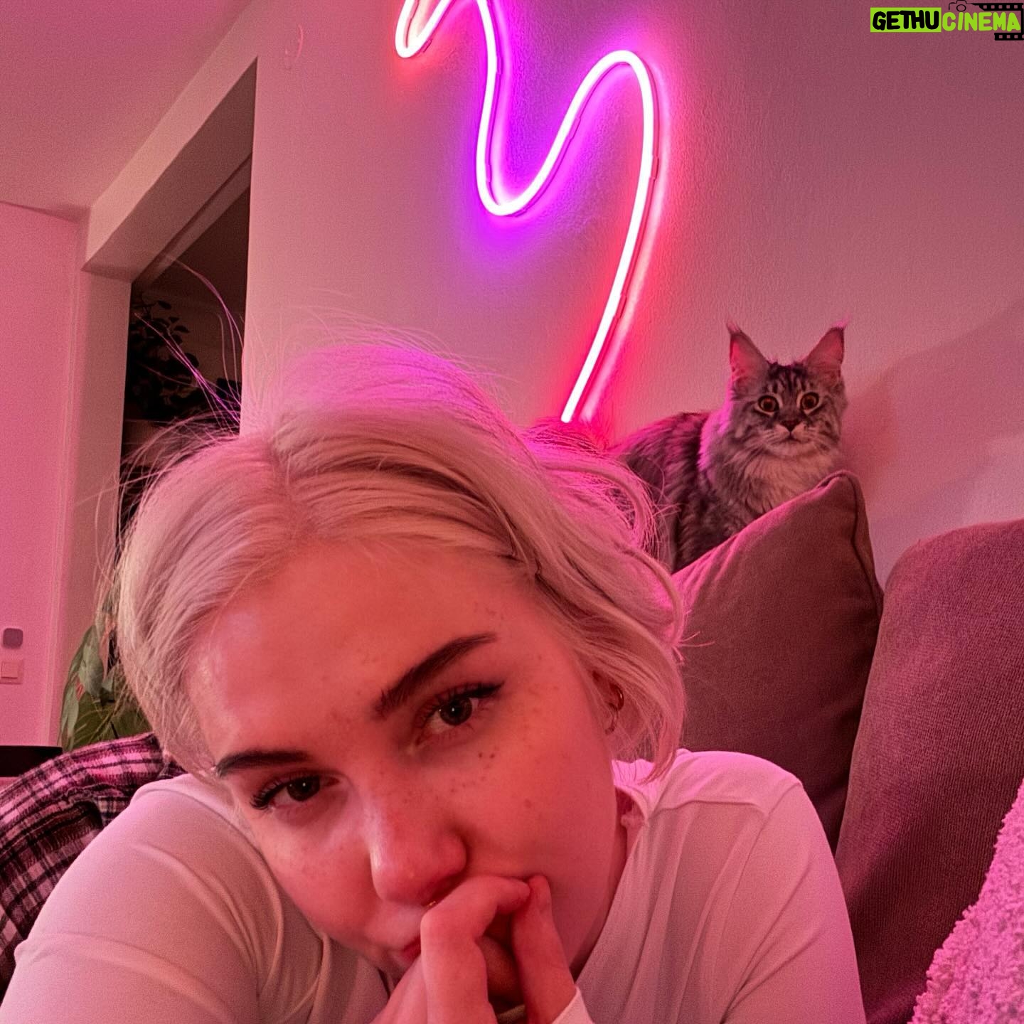 Evelina - 5K Likes - Philomena dump (phil dumphy)
1. Kamukuva
2. Sheriffi ite
3. :)
4. Incognito mode
5. Sylkys (ei kauaa)
6. Lempiharrastus
7. Voitte olla yhteydessä assistenttiini
8. Majesteettinen
9. Lempisarja: H2O 🧜♀️