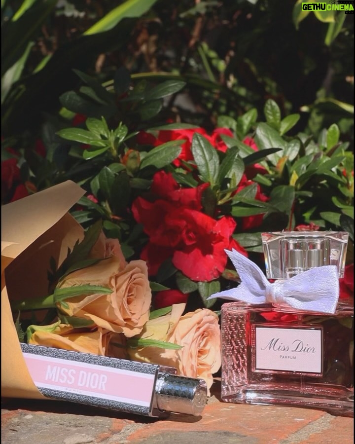 Evelyn Choi - 1.4K Likes - Touch by the sunshine,
Spray the Fragrance of Love – Miss Dior – in the air,
Feeling in love with someone who is always in your heart.
My best companion,
Miss Dior Parfum & the new Mini Miss solid perfume housed in black & pink case.
@DiorBeauty #MissDior #MiniMiss #DiorParfums @DiorBeautyLovers #DiorBeautyLovers
——————
