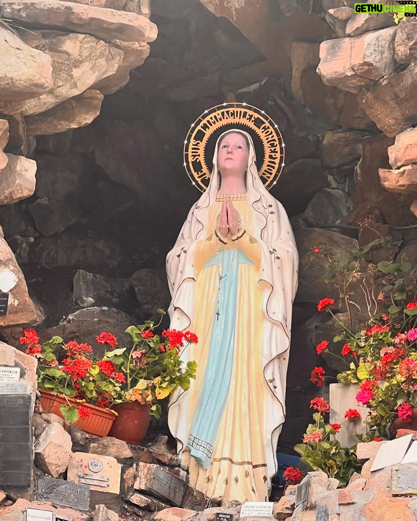 Evelyn Scheidl - 5.7K Likes - Hoy en tu dia te veneramos con mucha devoción Virgencita de Lourdes🙏 Bendice nuestros hogares🙏🙏🙏 y cuida de nuestras familias ❤️
Mi mamá era devota y me llevaba a Santos Lugares a visitarla siempre 🙏 @alvareznata @nequigalotti @medinaflores