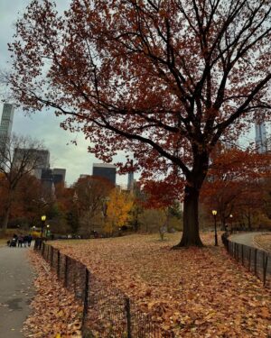 Felicia Sağnak Instagram - 🍃 #ny