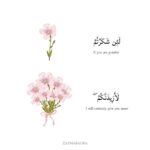 Haala Shiha