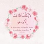 Haala Shiha