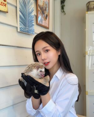 Hami Chiang Instagram - 跑了東京🇯🇵四家動物咖啡廳～
有豬豬🐽水豚🐗水獺🦦貓頭鷹🦉跟他們玩的超開心
好想跟你們仔細分享哪些值得去，哪些可以把錢省下來
但還在發懶，沒動力剪片🐷 除非有人超想看？

每次出國前，少不了 @eddyde1208
半年沒整理頭髮，出去玩一定要美美
始終如一的髮根燙➕頂級女神鉑金護髮，
試過才會懂，我怎麼五年來都只做一樣的
好打理跟動物們混在一起，也能保持水亮亮的～

🗺️中和區興南路一段85巷13號
#台北燙髮 #发 #染髮 #燙髮  #instalike#outfit#fashion #파마하다 #염색하다 #デザインパーマ #ロング #ヘアカラー#パーマ #tokyo #動物咖啡廳 #photography #街拍 #刺蝟 #ハリネズミ #hedgehog